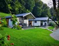 Ansicht Chalet Lugge (zweites Chalet von links) mit Baum und roten Beeren im Vordergrund