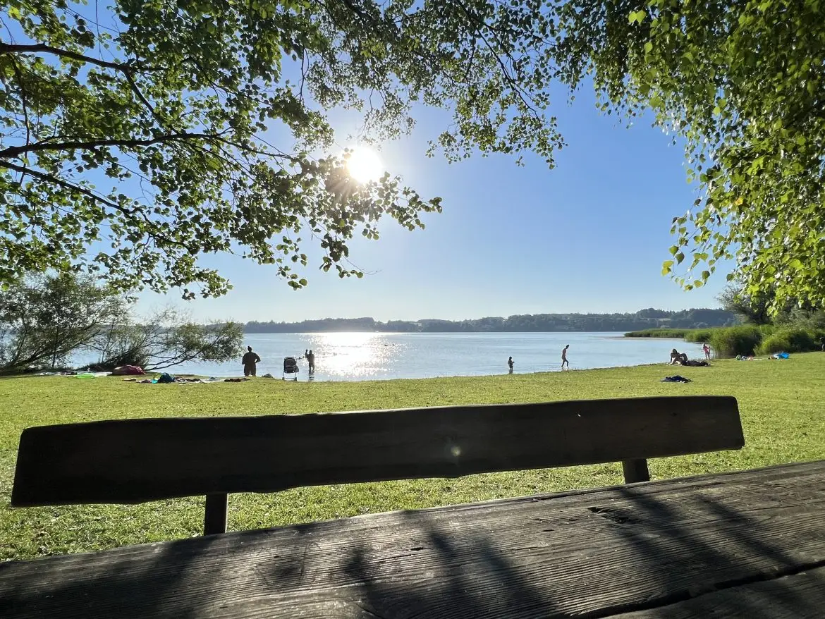Blick vom Spielplatz auf die Liegewiese und den See