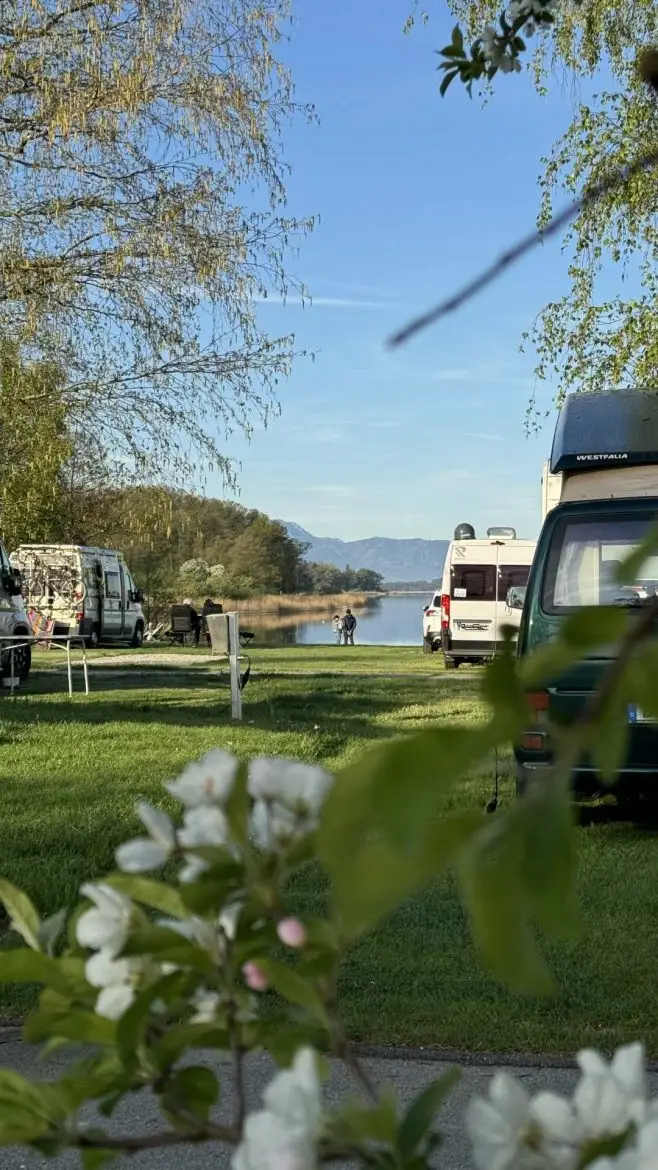 Bulli am Camping Stein im Frühling am Simssee