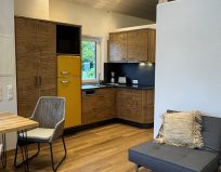 Chalet Leni - Wohnraum mit Sofa, Essbereich und Küche mit Kühlschrank, Spülmaschine und Microwelle